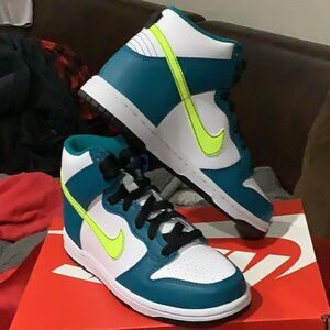 Nike Dunk High